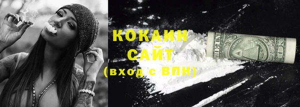 шишки Армянск