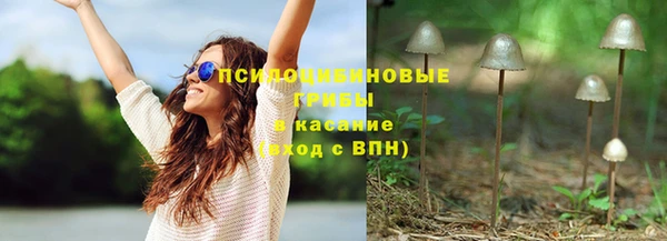 амф Арсеньев