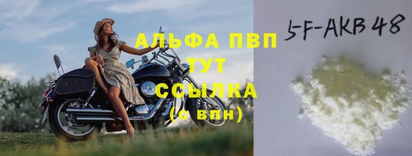 круглые Аркадак