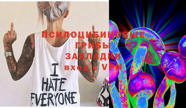шишки Армянск