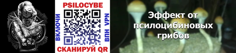где найти наркотики  Макарьев  Псилоцибиновые грибы Psilocybine cubensis 